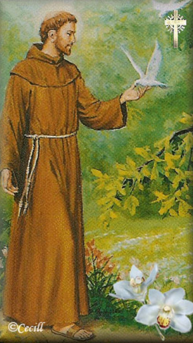 Himno Colegio San Francisco de Asís de Castro